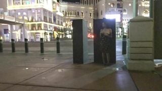 Nicole Niagara A Public Toy For Strangers