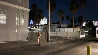 Nicole Niagara Used Bitch in the City Streets Caught Twice