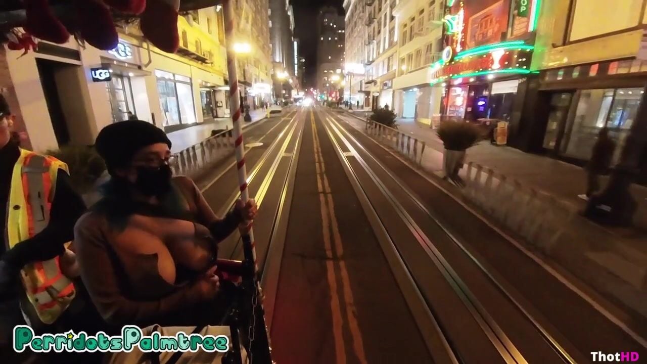 Perridotspalmtree Cable Car 360 Fan Selfies