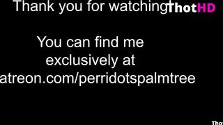 Perridotspalmtree Flashing Tittys 3 2