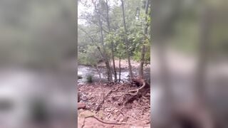 Kiara Moon Public Squirting in the Woods Marking My Territory Whoever I Go