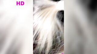 Kelly Kay POV Blowjob Cumshot In Mouth ONLY FANS