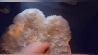 Belle Delphine Asshole Fingered Doggy Fucked OF Video