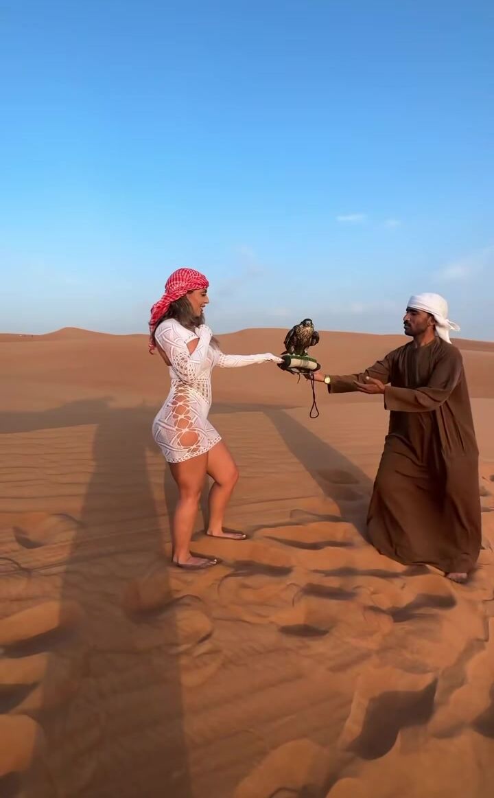 Habibi lets go to dubai