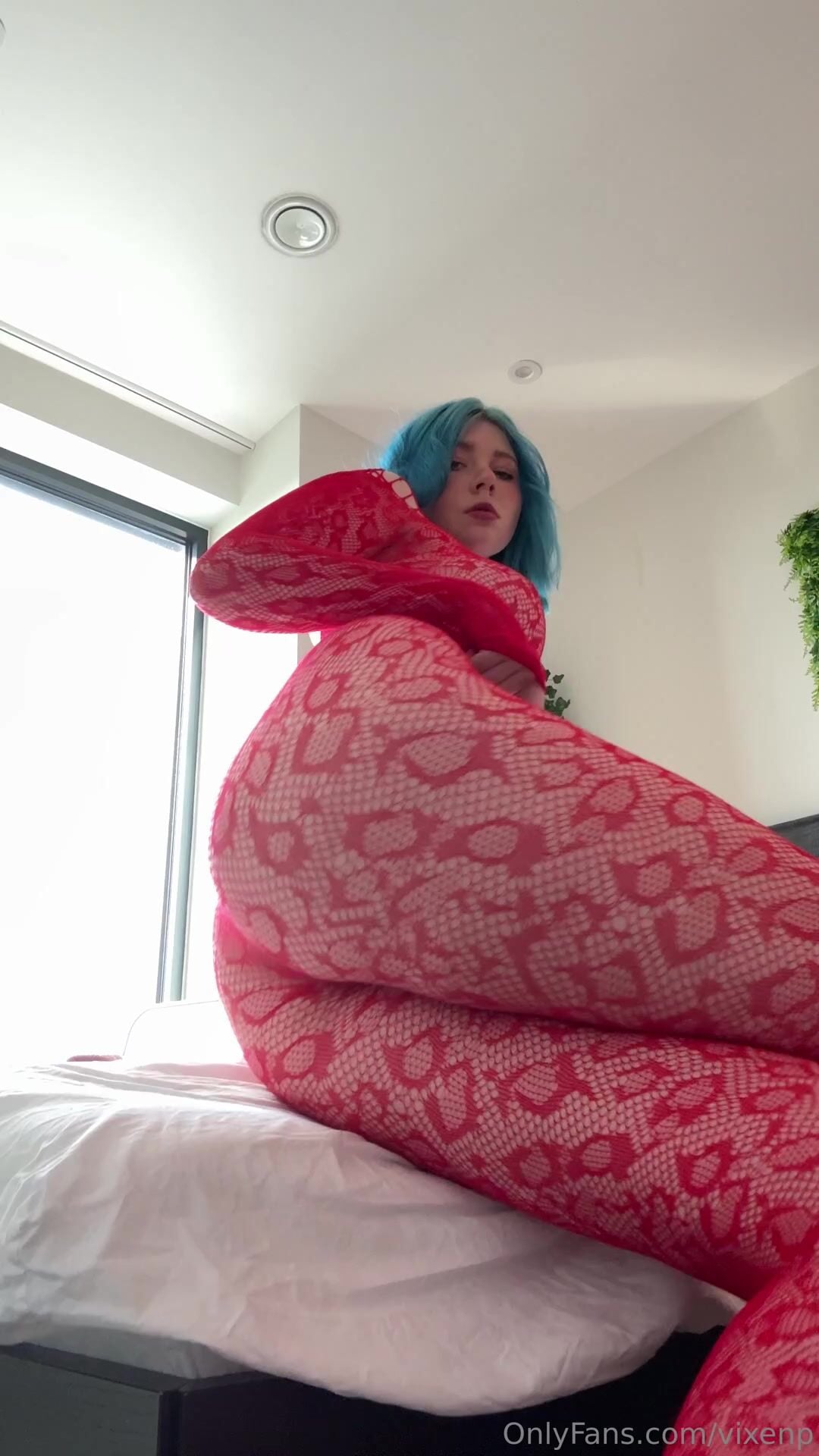 VixenP Porn 2