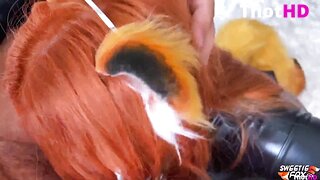 Sweetie Fox in a Collar Deep Sucking Big Dick Lover