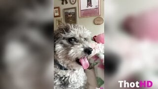 Nnevelpappermann NSFW Video