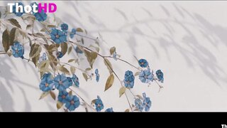 DemiRose Sexy 2