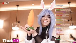 Momokun bunny live streaming