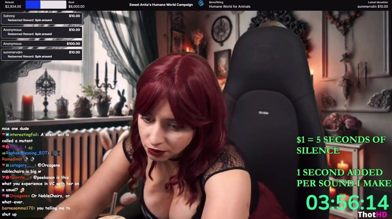 Sweet Anita KEEP ME QUIET FOR CHARITY ~highlights~
