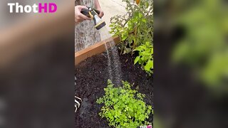 Yournaughtymomhope Hot Video 2