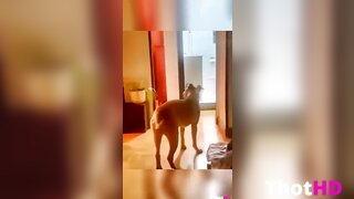 Luana De Rosa Sexy Vid 2