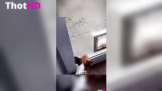 Luana De Rosa Sexy Vid 2