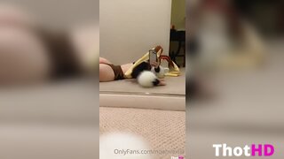 Noemiexlili rabbit ears lopunny tail pantyhose OF