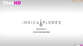 Indica Flower bg sex nude pubic hair pussy