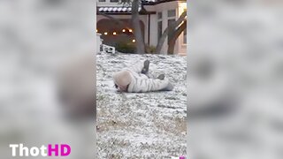 Emiru outdoor tail Leaked OF