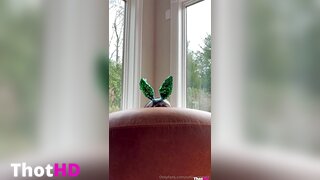 Sofia Gomez peeking outdoor Leaked Video