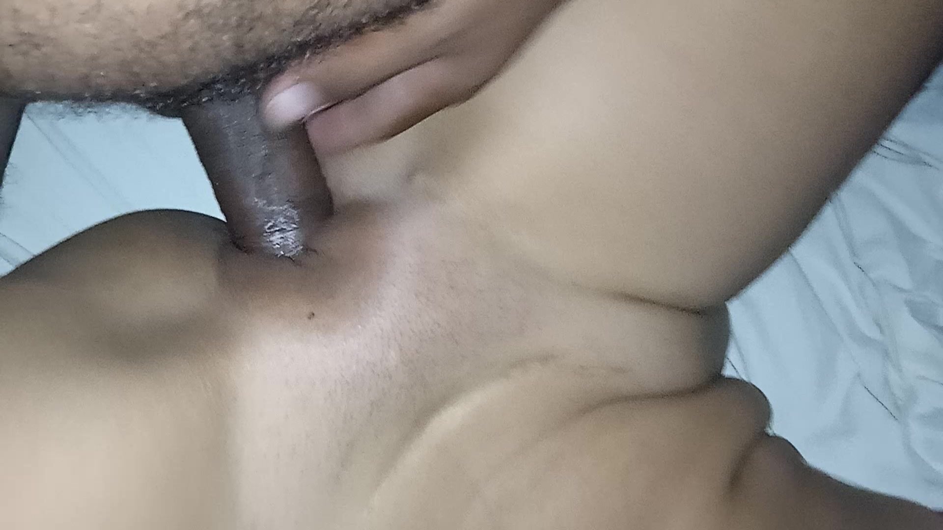 Morenasa latina