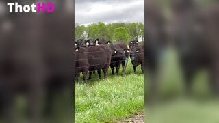 Mtvkay Outdoor Ass Clip