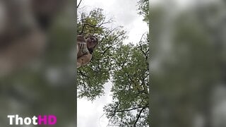 Cosmic_Kitty_Cat Outdoor Leak