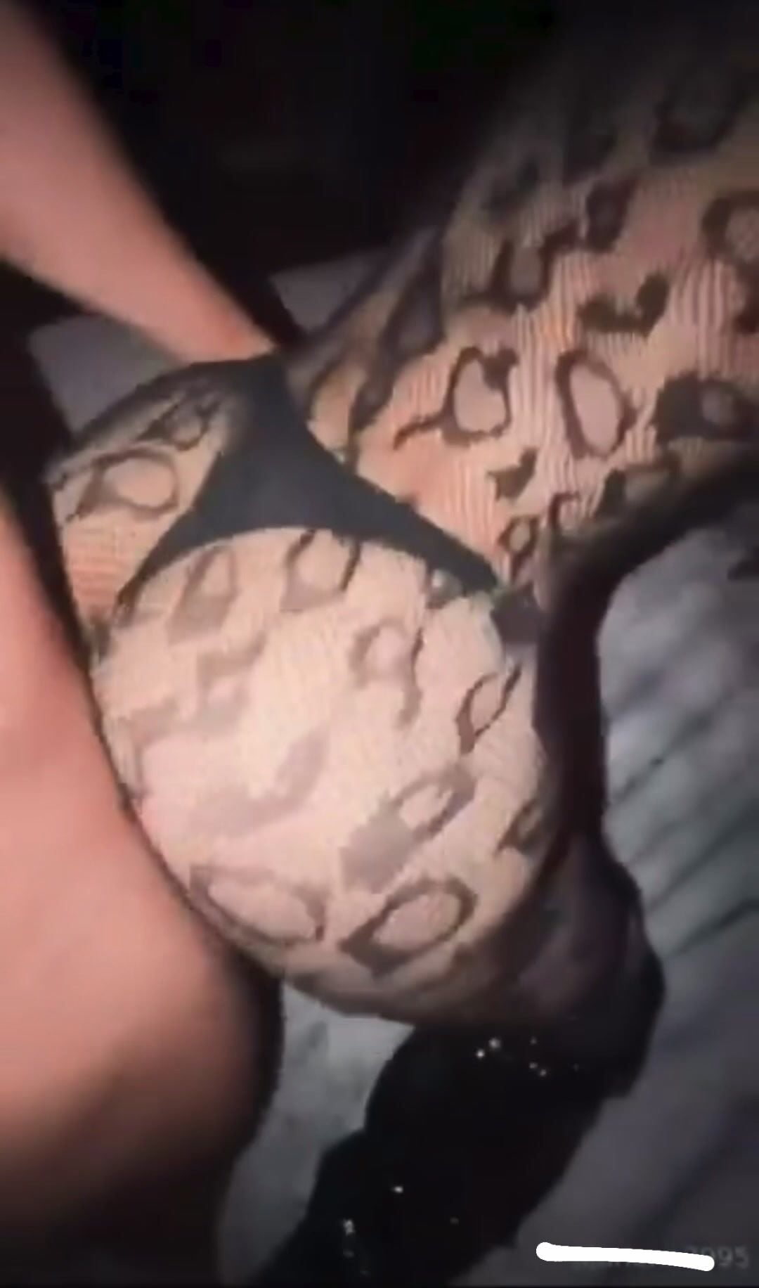Marlener3131 POV BG Sex OnlyFans