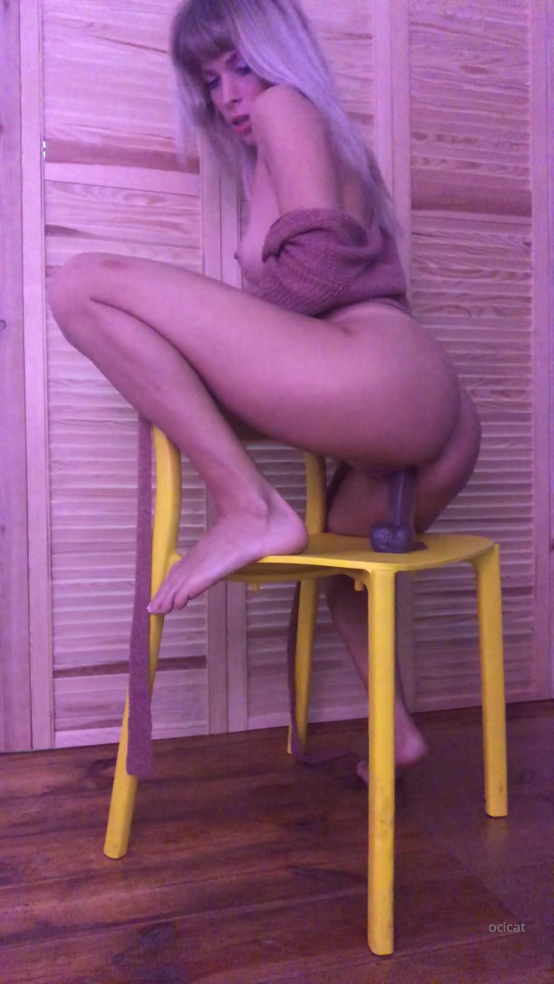 Ocicat Dildo Masturbating