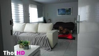 NextDoorJoanna Doggystyle Couch