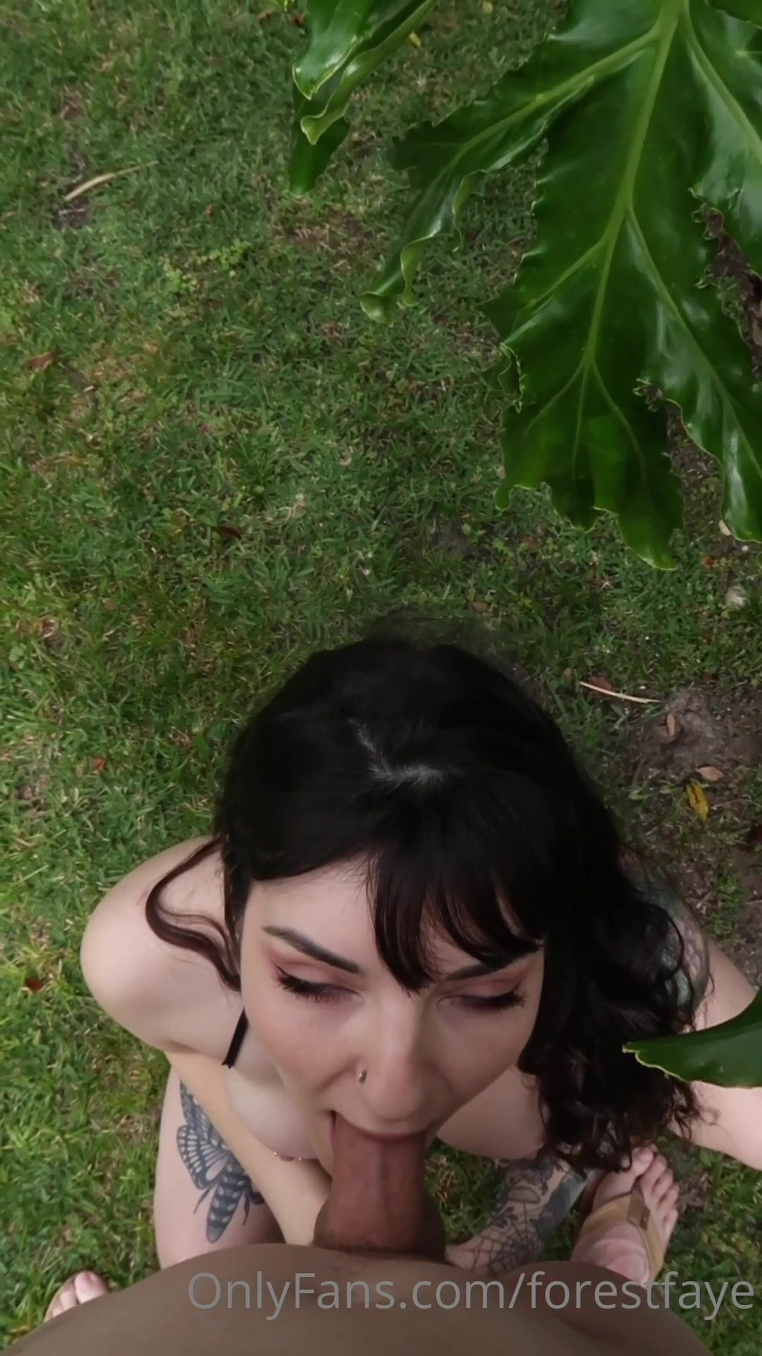 ForestFayee Blowjob and Sex Video