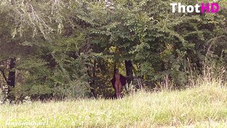 Jeny Smith Dress Outdoor Video_001