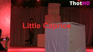Little Caprice Thigh Highs Spread Legs NSFW