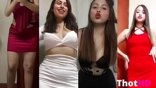 ALESANDRA PERRITA DE LIMA TIKTOKER COMO ALE HERMOZA