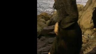 Ariesiatv shorts compilations