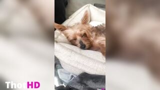 Vcamilav Leaked onlyfans Fucking Machine