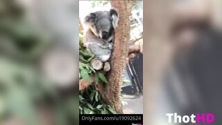 Lana Rhoades only fans Video 2