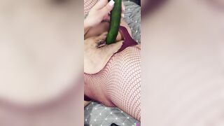 MS Sethi cucumber insertion OF leaked