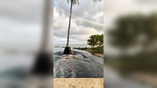 PolynesianSaux aka Annie Patani Bikini Butt ONLYFANS